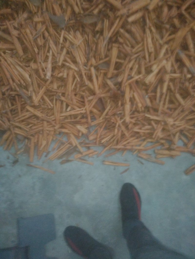 桂皮缅甸烟桂产地直销(现货大量供应)