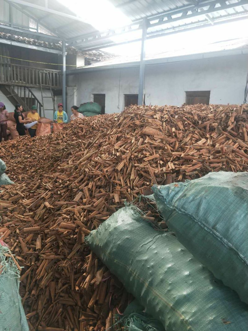 桂皮缅甸烟桂产地直销(现货大量供应)