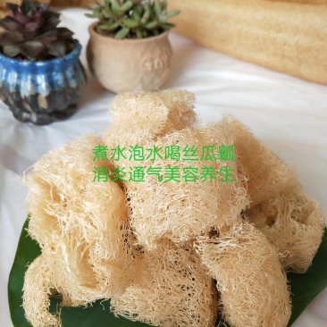 丝瓜络