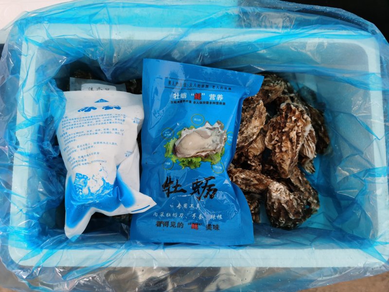 社区团购电商微商一口蚝网红带生蚝，可定制一件代发