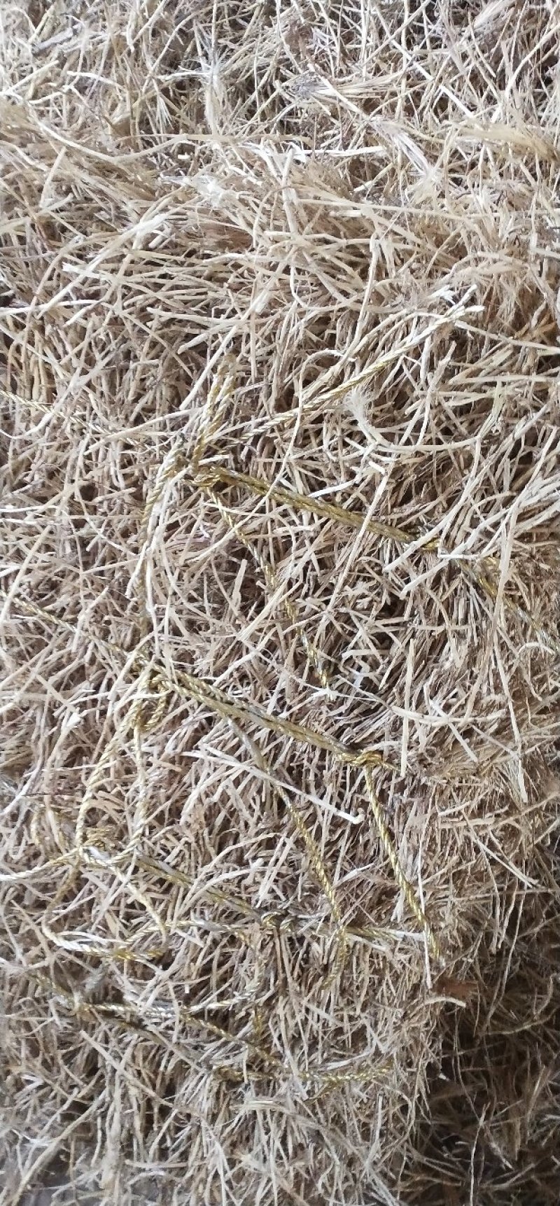 产地常年批发白茅根大货，茅根段，茅根米，茅根个子大货。