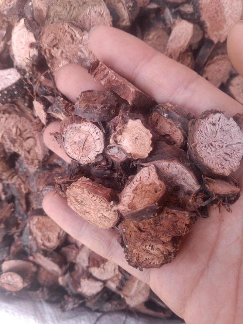 红景天各种规格小花大花