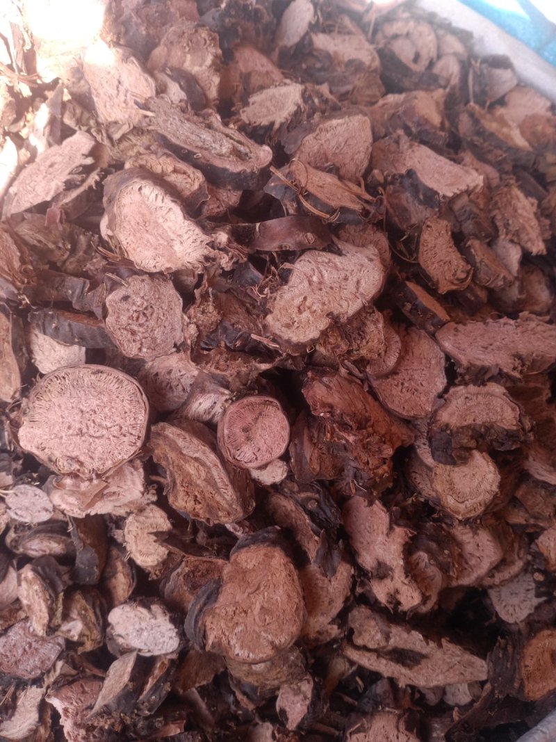 红景天各种规格小花大花