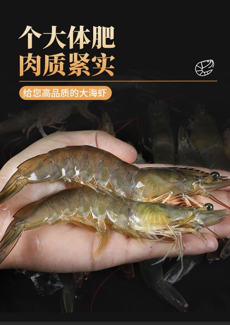 鲜活海鲜水产鲜货大虾活冻对虾冻虾白水湖东风袋