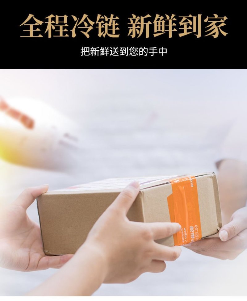 鲜活海鲜水产鲜货大虾活冻对虾冻虾白水湖东风袋