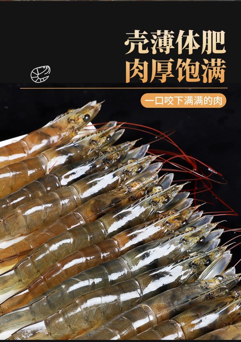 鲜活海鲜水产鲜货大虾活冻对虾冻虾白水湖东风袋