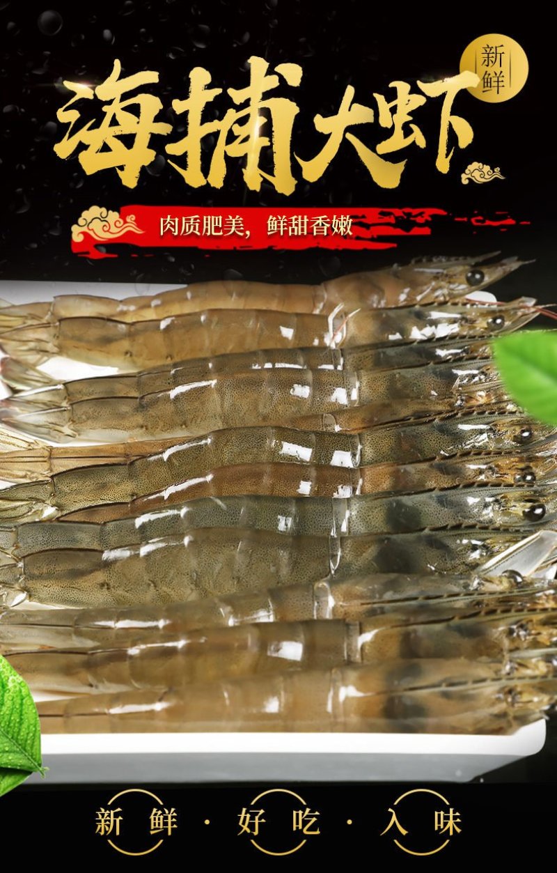 鲜活海鲜水产鲜货大虾活冻对虾冻虾白水湖东风袋