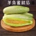 【有好货】山东羊角蜜甜瓜产地一手货源，量大从优现摘现装