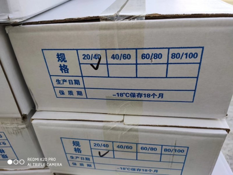 扇贝肉批发价一手货源