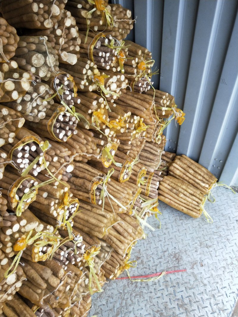 河北省安平县小白嘴白山药，可供应超市，商场，饭店，批发