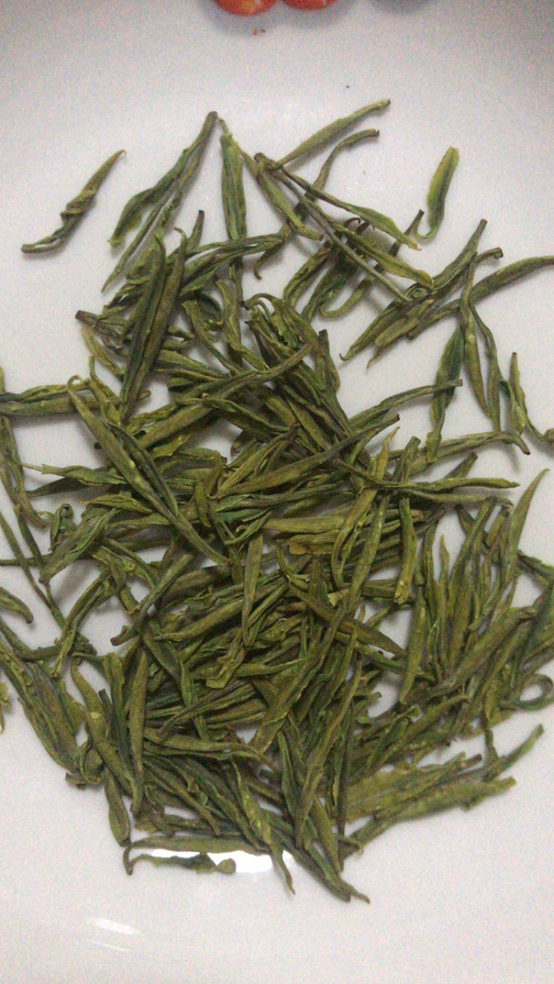 2026安吉白茶，春茶，茶如其人，找对了人，就找到茶