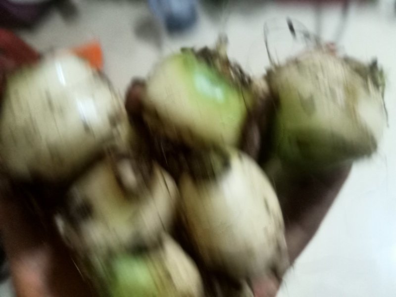毛慈姑，泥冰子，山慈姑，无黑子，