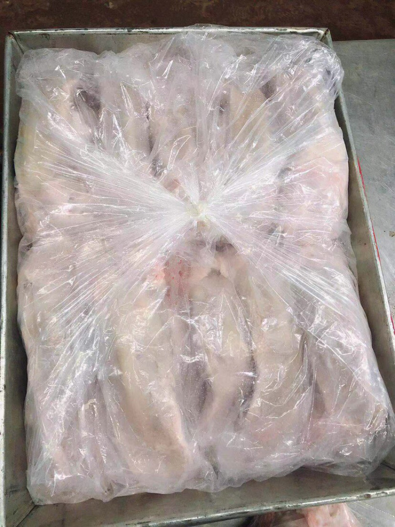 猪口条猪舌鲜货
