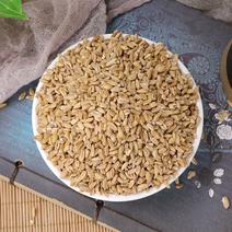 浮小麦淮小麦干净新货无硫浮小麦批发零售各种中药材