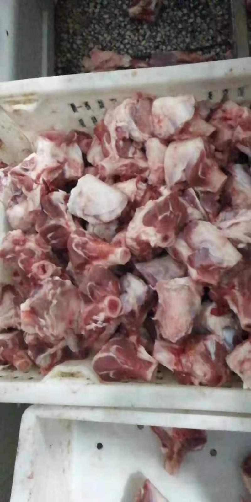 羔羊棒骨满满的肉厂家直销