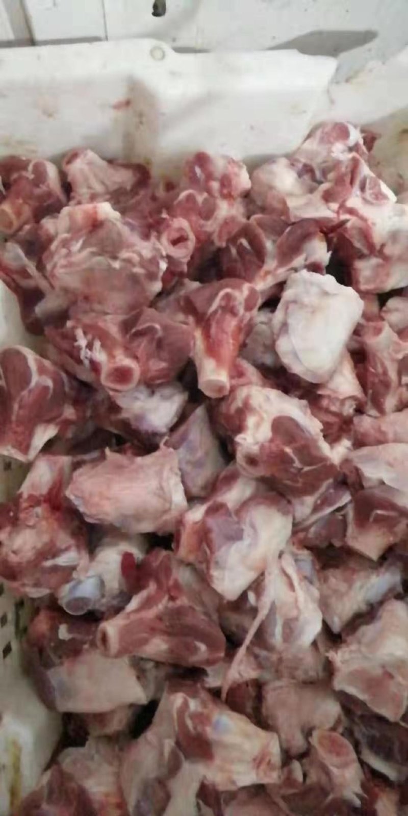 羔羊棒骨满满的肉厂家直销