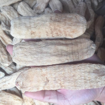 昌玉药材天麻产地直销薄利多销