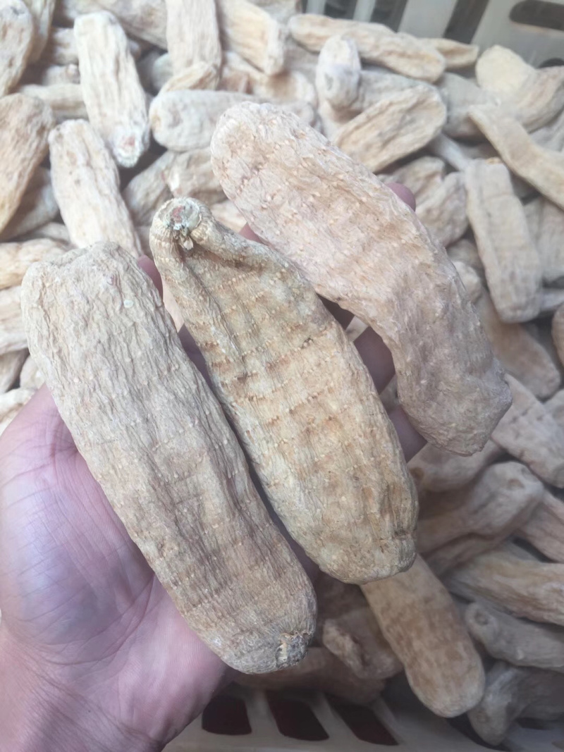 昌玉药材天麻产地直销薄利多销