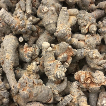 昌玉药材三七60头产地直销薄利多销