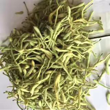 昌玉药材金银花产地直销薄利多销