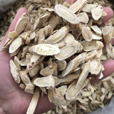 昌玉药材黄芪指甲片产地直销薄利多销