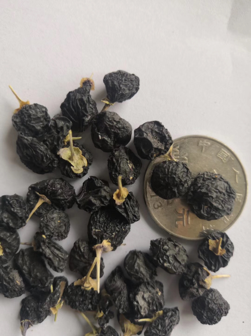 昌玉药材黑枸杞产地直销薄利多销