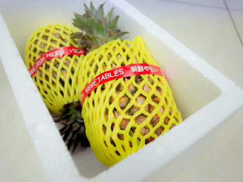 凤梨台湾金钻凤梨