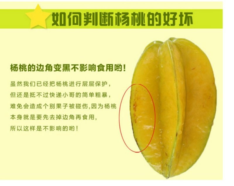 台湾红龙杨桃5斤装（8-12个）