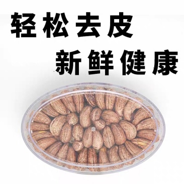 特级A+超大紫皮大腰果盒装一件代发盐焗腰果