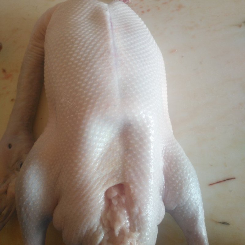 批发广东清远白条黑棕鹅