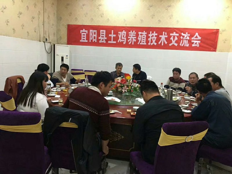 购买土鸡苗参看下图，种蛋、种苗、育成正宗土鸡。