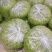 榆钱包上车加冰野菜