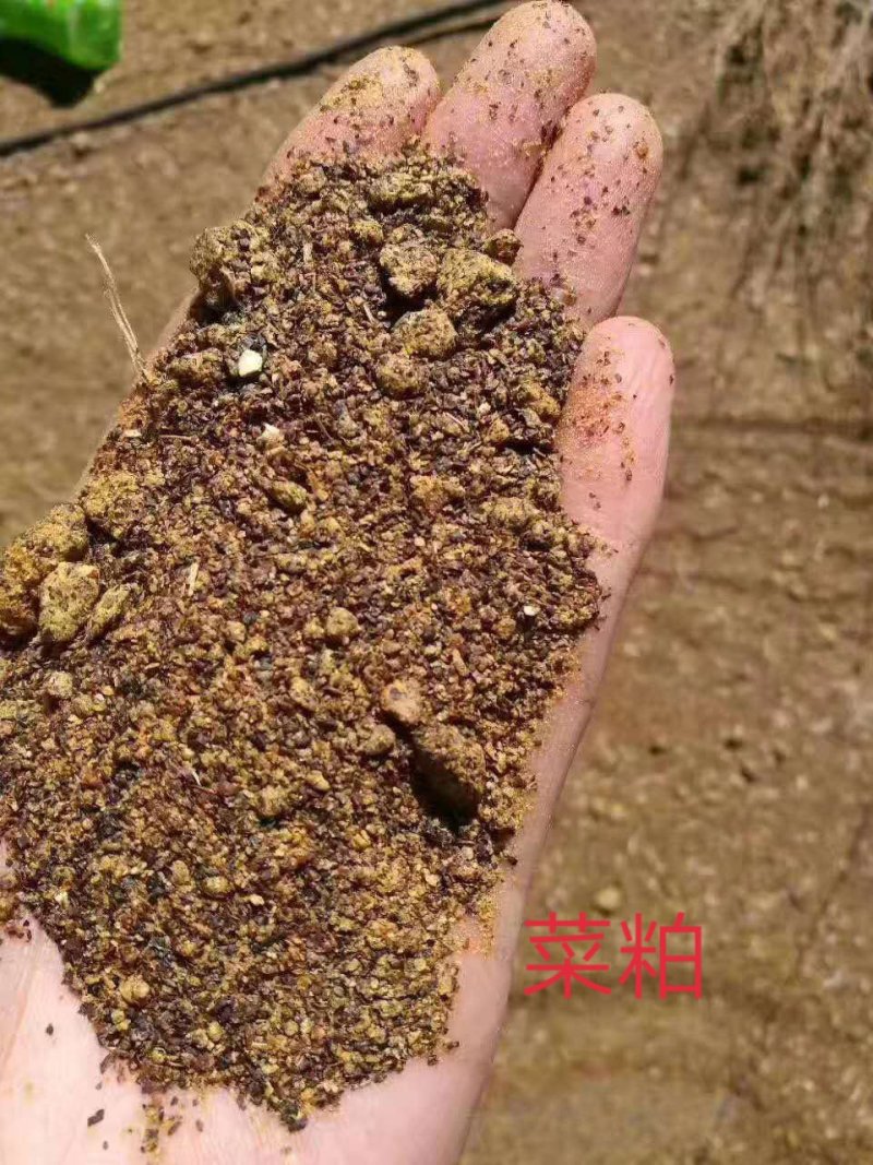 进口菜籽饼，适口性好，袋装，牛羊优配饲原料