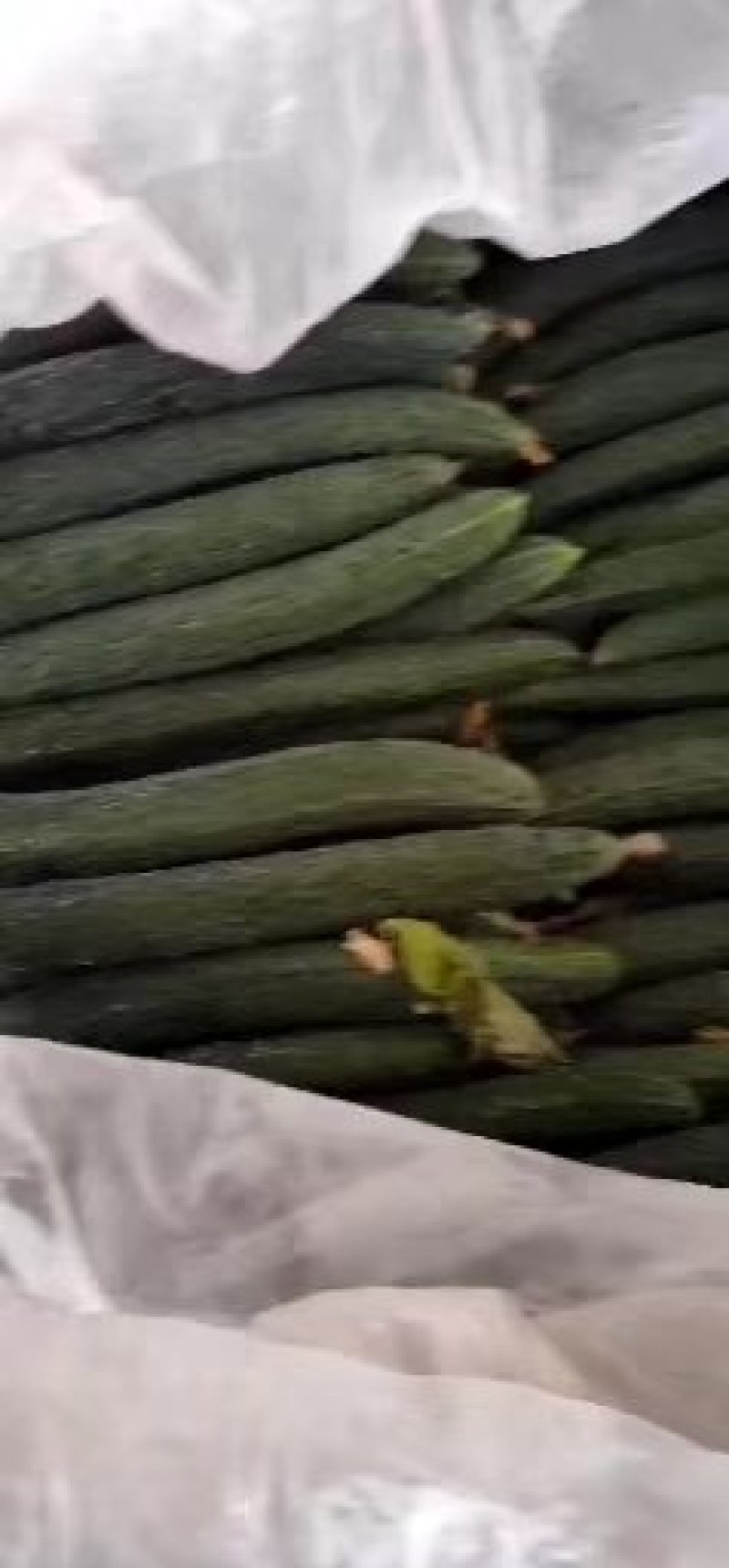 密刺黄瓜干花带刺产地直供