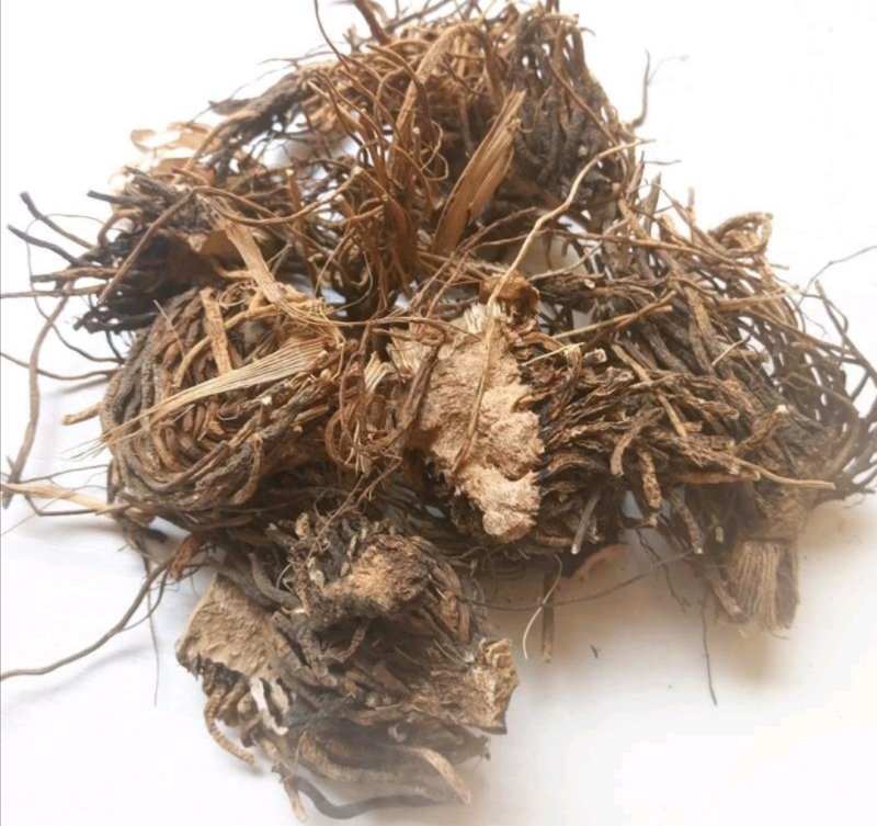 藜芦，藜芦根，披麻草根，质优价实，品质保证，药典标准云南