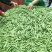 青碗豆角，成都龙泉山区新鲜采摘，保证质量，自产自销