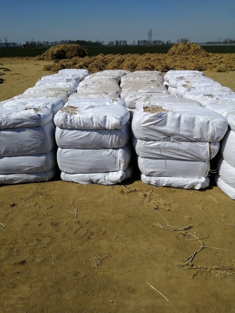 （诚信经营）中草药白茅根加工，各种规格任你选择。