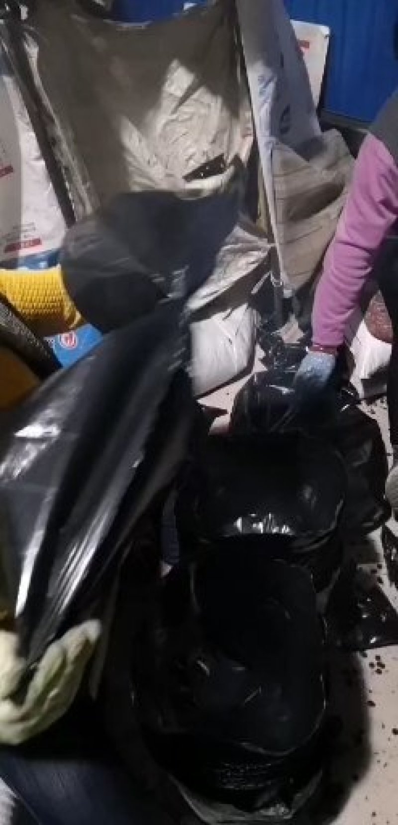 育苗器营养钵树苗杯各种型号育苗营养钵