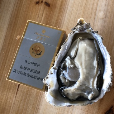 家庭装生蚝清蒸烧烤福建海蛎牡蛎社区团购小包装