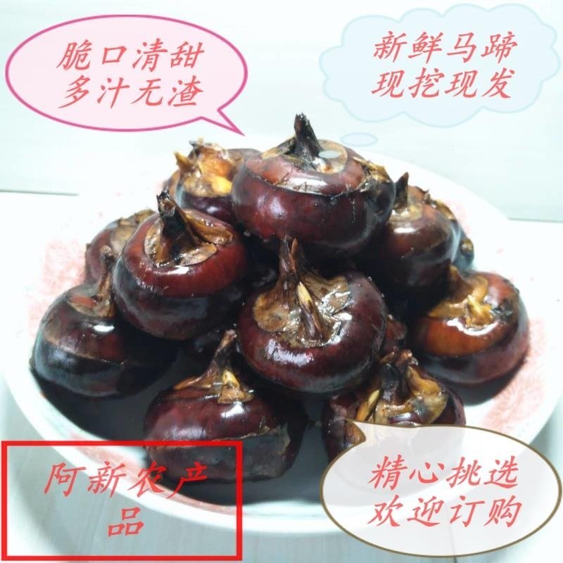 桂林瑶乡马蹄（荸荠）阿新农产品自产自销，零售批发欢迎订购