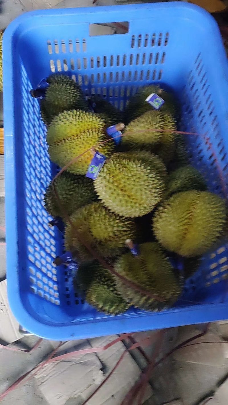 甲伦榴莲一件包邮电商一个包邮