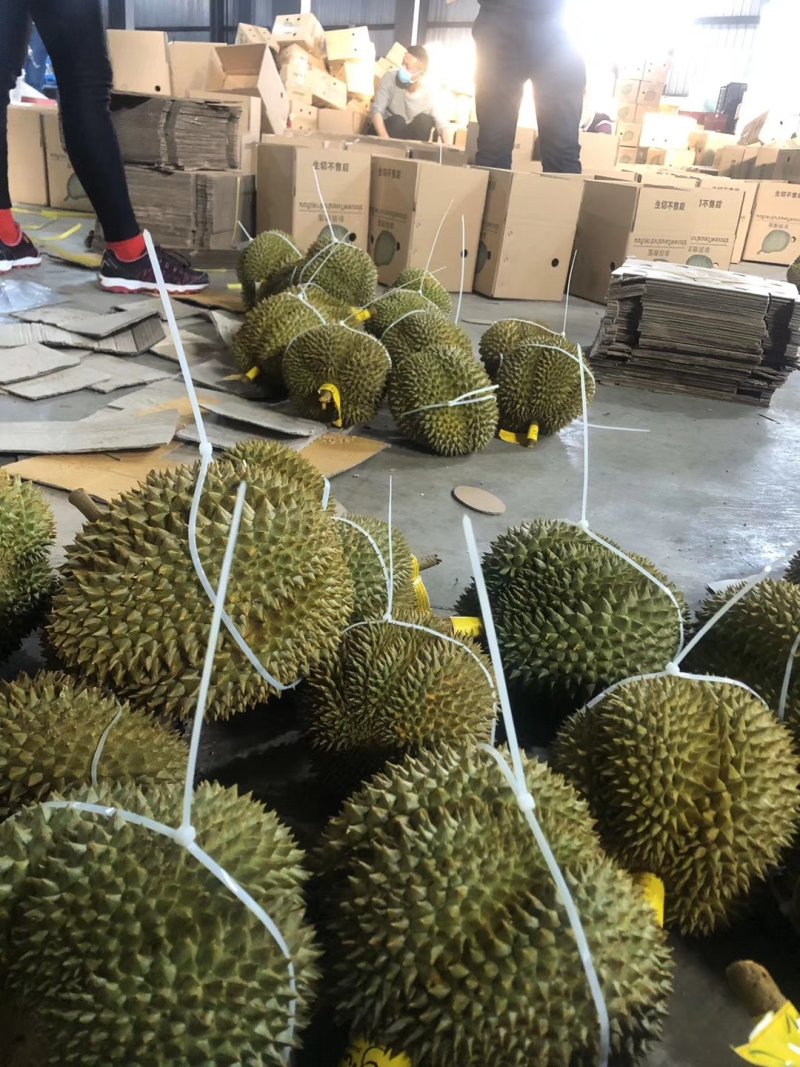 甲伦榴莲一件包邮电商一个包邮