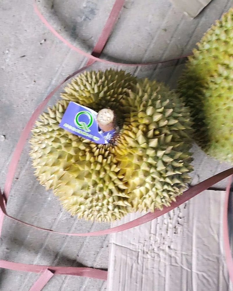 甲伦榴莲一件包邮电商一个包邮