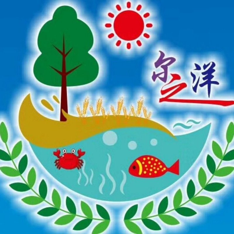 芡实（鸡头）苗批发出售