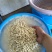 芡实（鸡头）苗批发出售