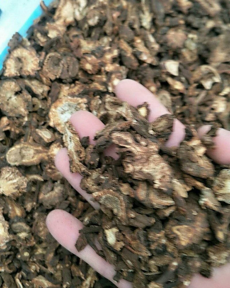 羌活，常年批发各种规格，各种产地甘肃货，四川羌活