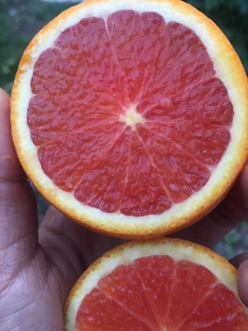 血橙