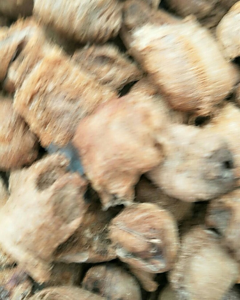 桑螵蛸，常年批发供应，桑螵蛸，生大棉，熟大棉