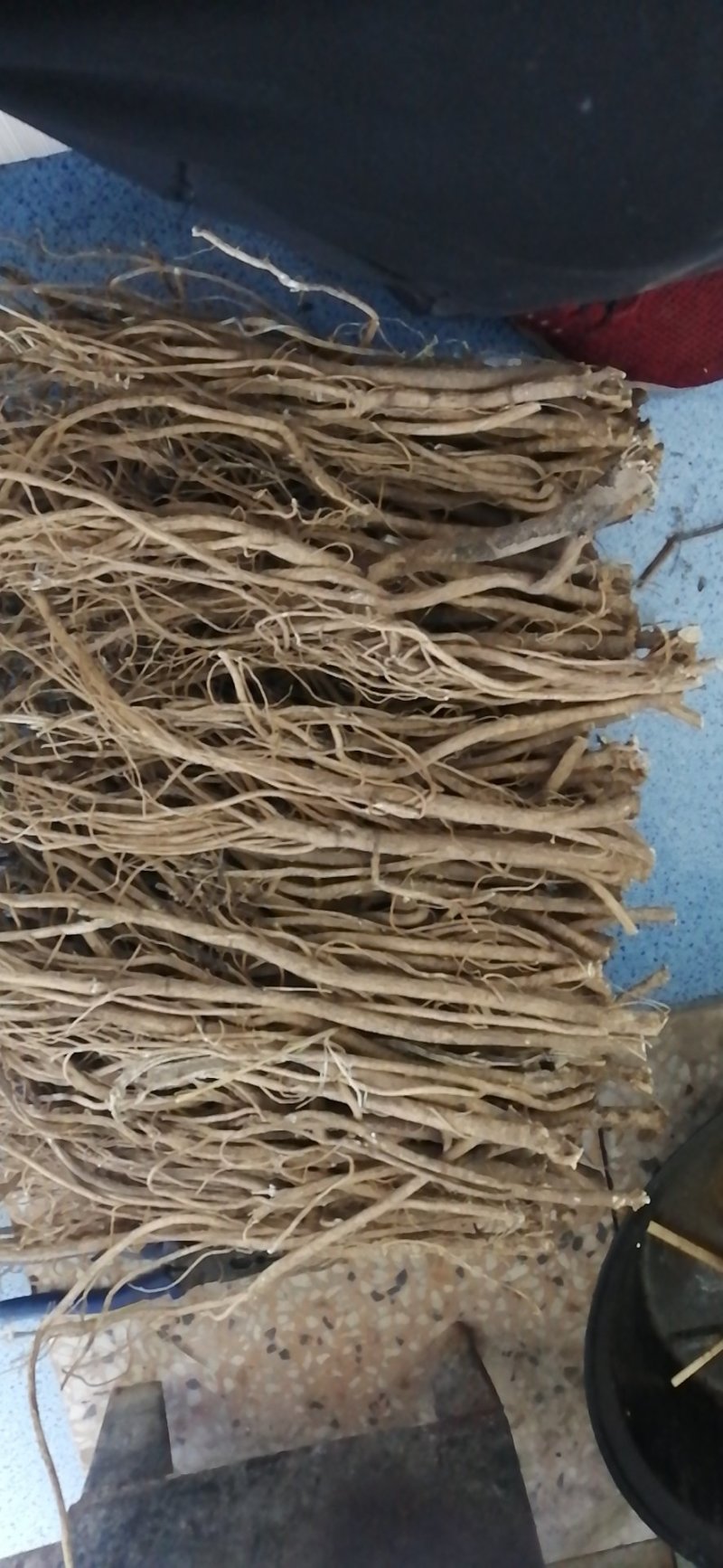 黄芪，正北芪大量出售，皮色好，无农残，含量高于标签8倍