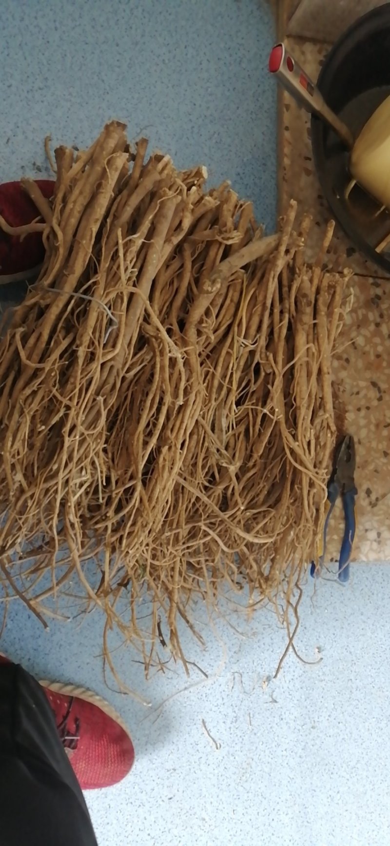 黄芪，正北芪大量出售，皮色好，无农残，含量高于标签8倍